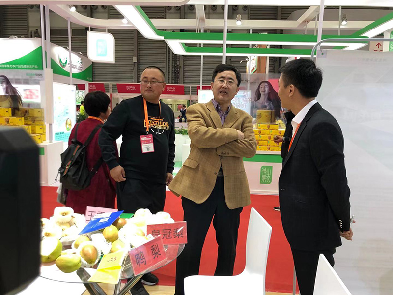 辛集市市委常委統戰部部長張向，農業農村局副局長呂潤航等領導帶團參加了在上海舉辦的亞洲果蔬博覽會